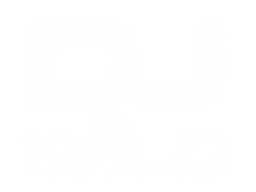 dj-wild