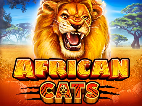 African Cats
