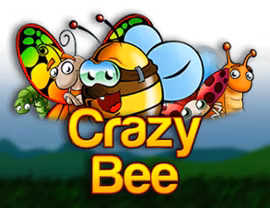 Crazy Bee