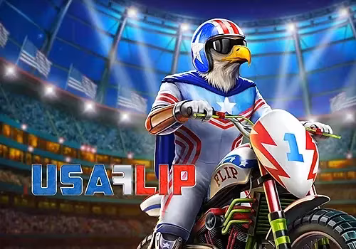 USA Flip