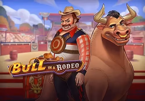 Bull in a Rodeo