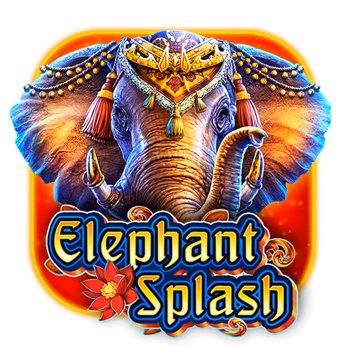 Elephant Splash